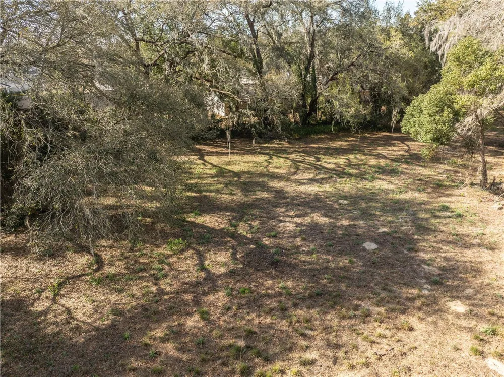 100 S OLD WIRE ROAD Wildwood, FL 34785