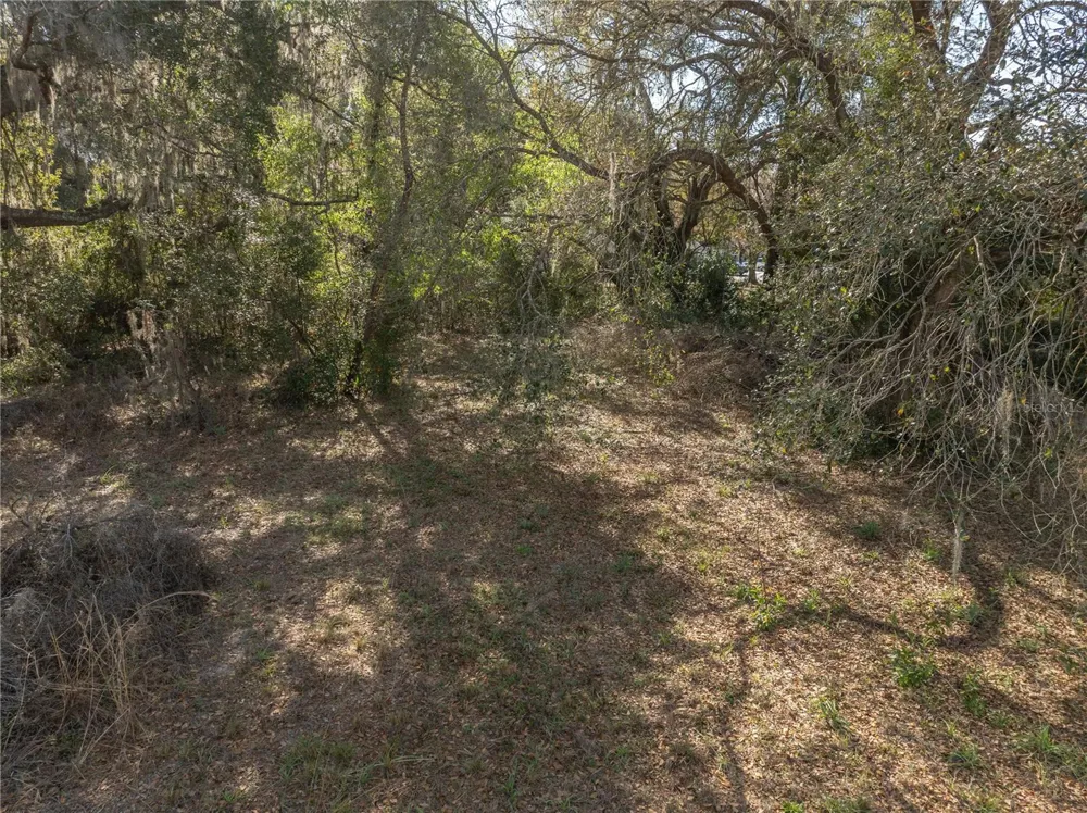 100 S OLD WIRE ROAD Wildwood, FL 34785