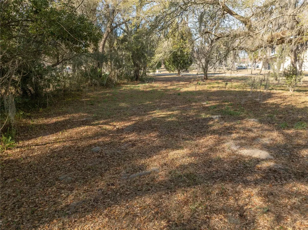 100 S OLD WIRE ROAD Wildwood, FL 34785