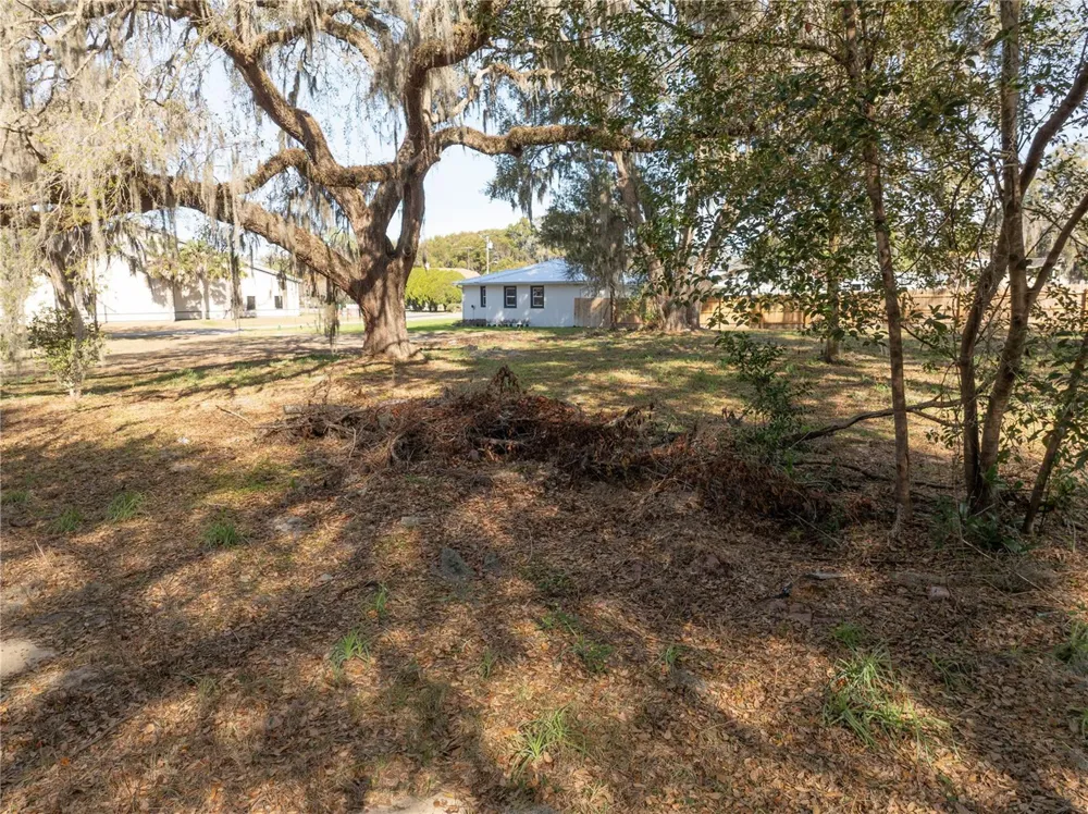 100 S OLD WIRE ROAD Wildwood, FL 34785