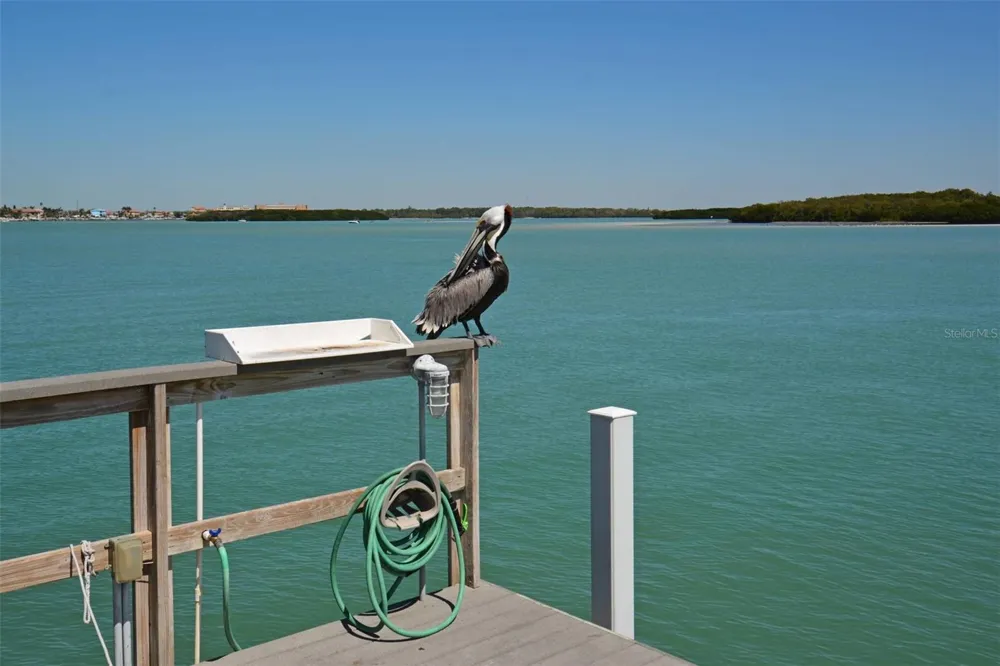 1 KEY CAPRI #102E Treasure Island, FL 33706