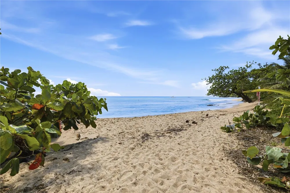 Calle Cambija RINCON OCEAN VIEW #1D Rincon, PR 00677