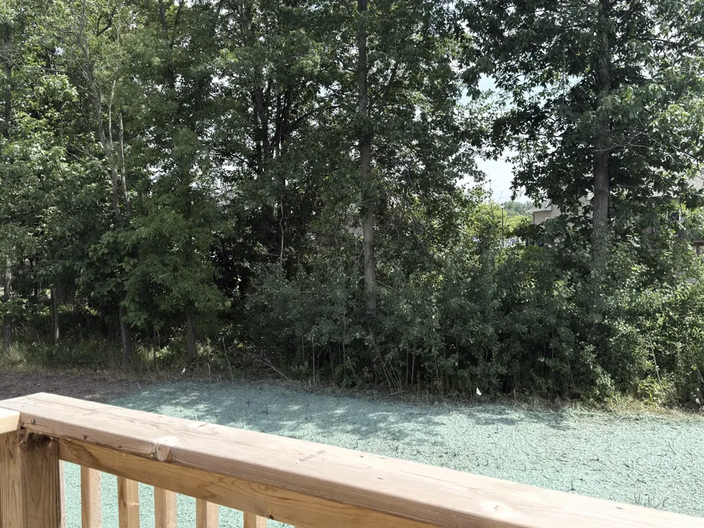 11782 Everett Avenue Allendale, MI 49401