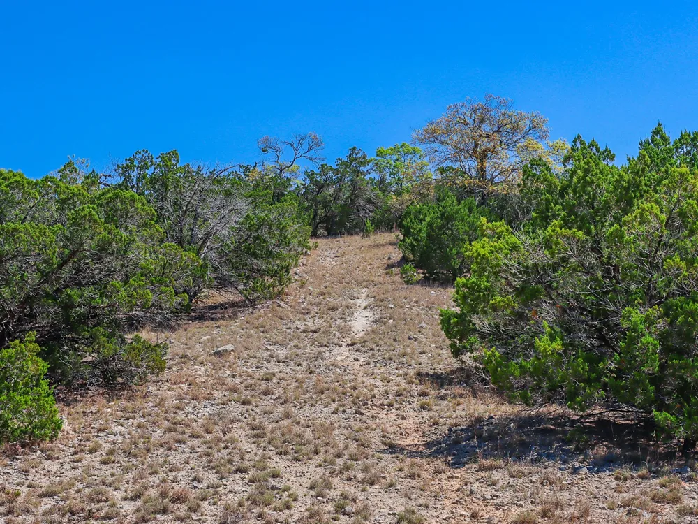 Sierra Vista Pipe Creek, TX 78883