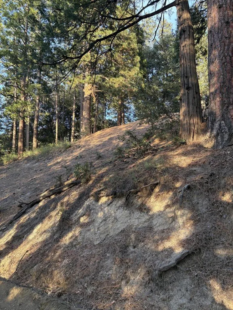 Tahquitz View Drive Idyllwild, CA 92549