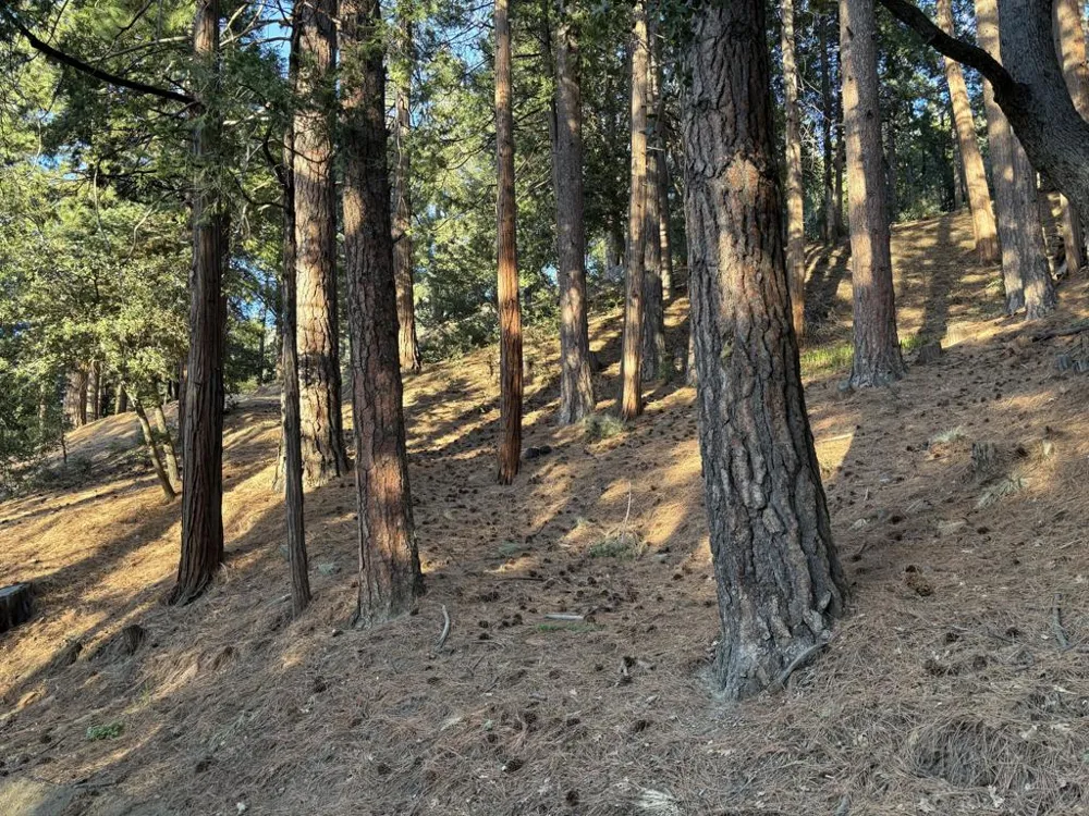 Tahquitz View Drive Idyllwild, CA 92549