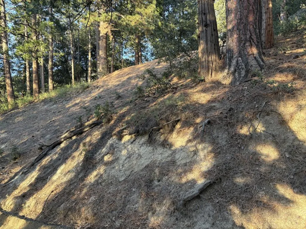 Tahquitz View Drive Idyllwild, CA 92549