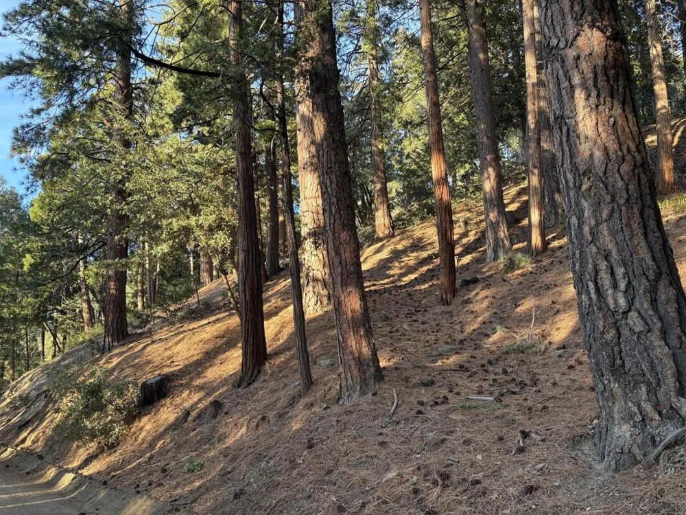 Tahquitz View Drive Idyllwild, CA 92549