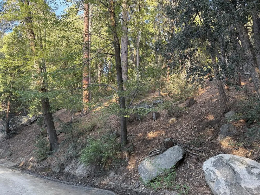 Tahquitz View Drive Idyllwild, CA 92549