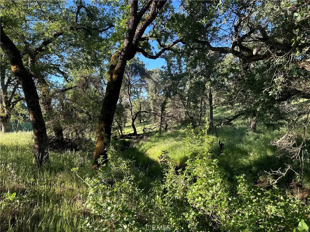 Rolling Oaks Bangor, CA 95901