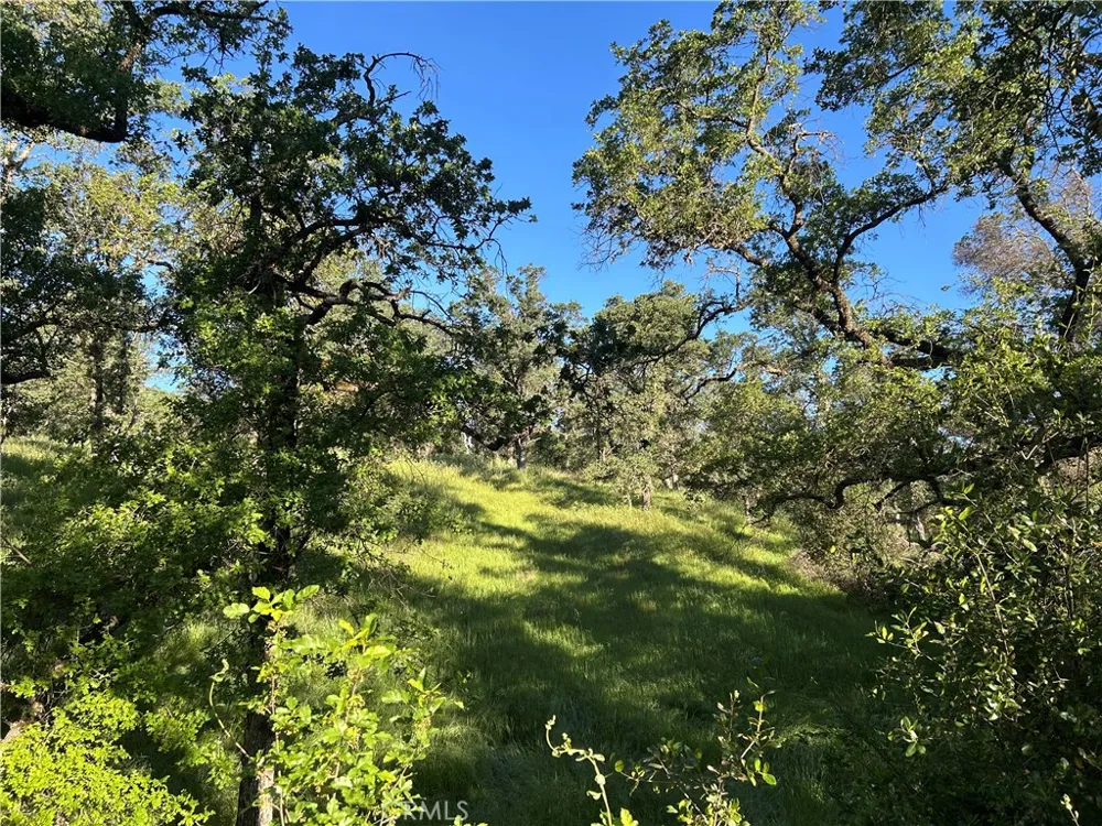 Rolling Oaks Bangor, CA 95901