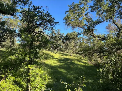Rolling Oaks