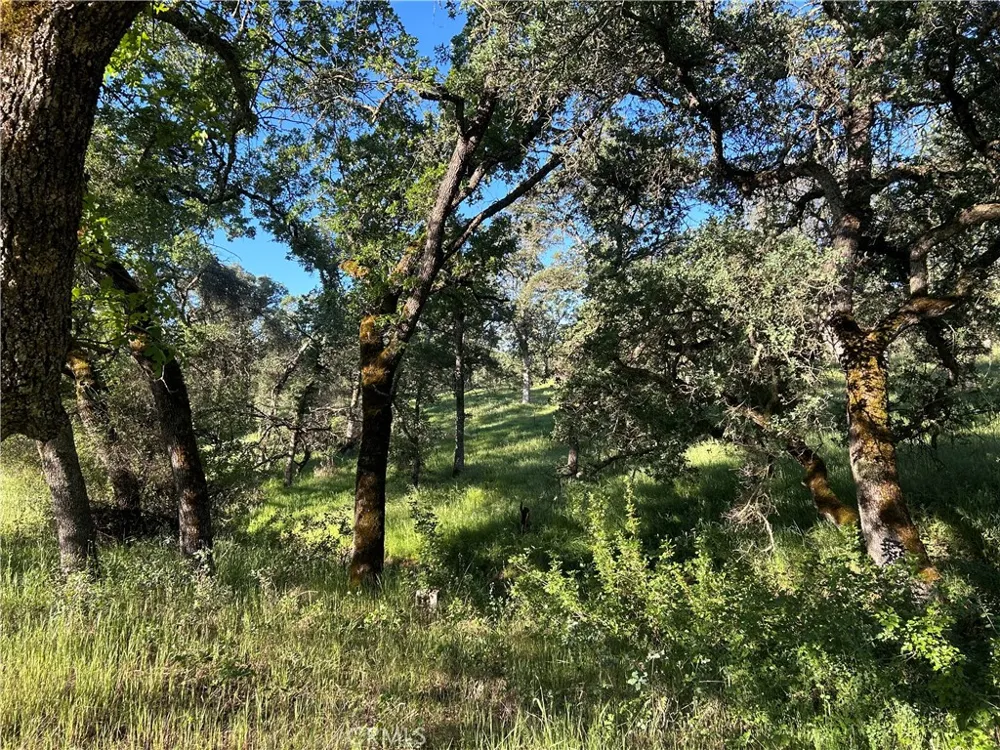 Rolling Oaks Bangor, CA 95901