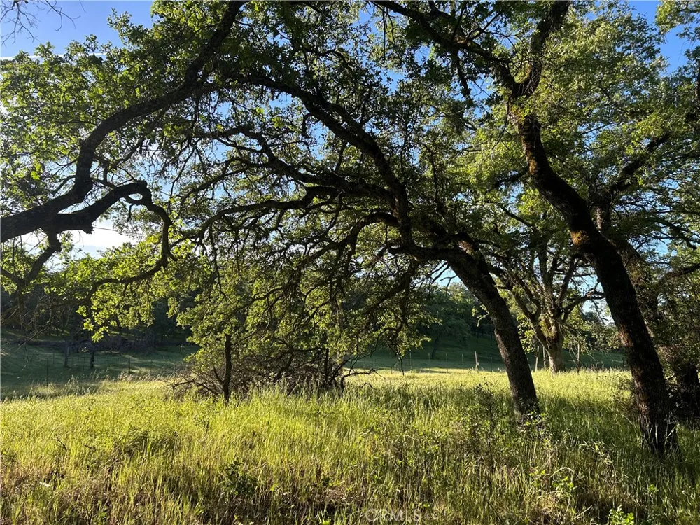 Rolling Oaks Bangor, CA 95901