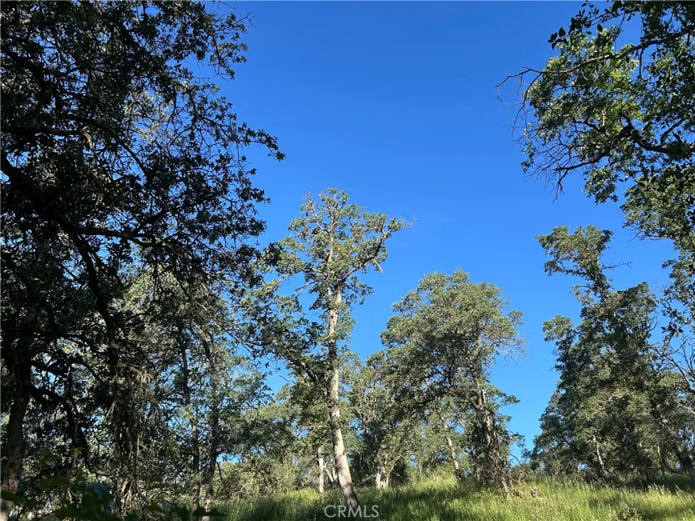 Rolling Oaks Bangor, CA 95901