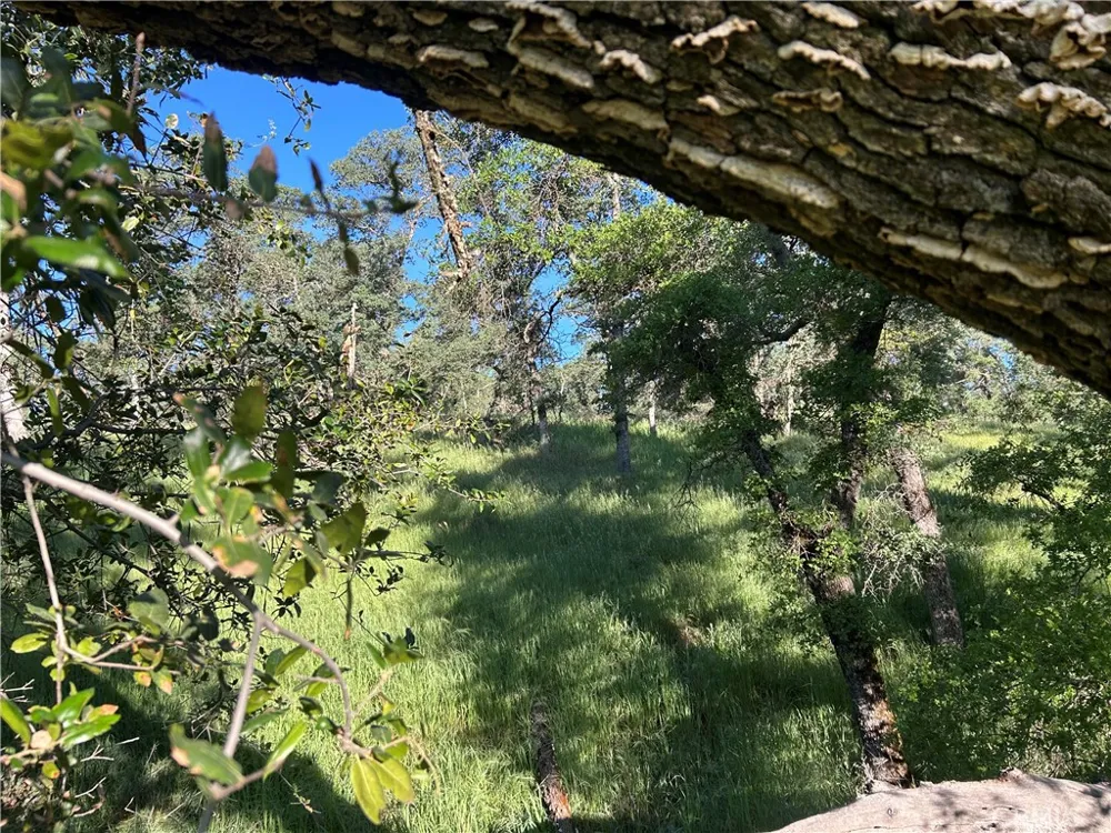 Rolling Oaks Bangor, CA 95901