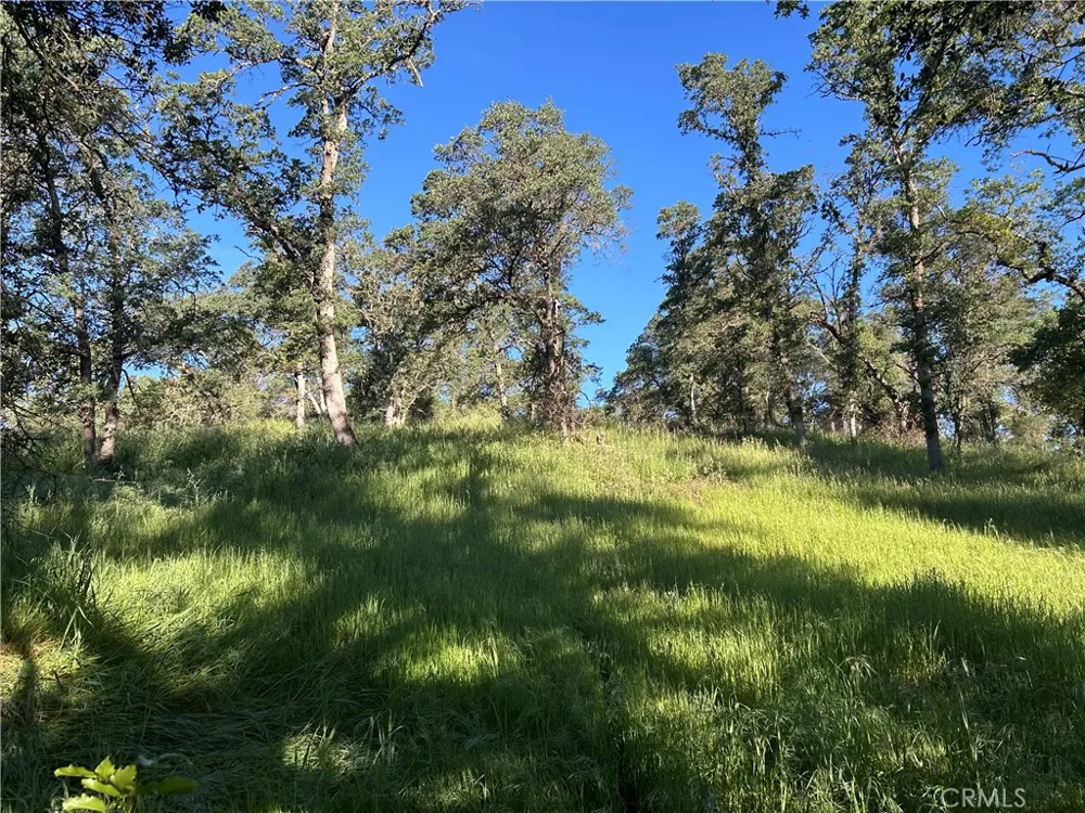 Rolling Oaks Bangor, CA 95901
