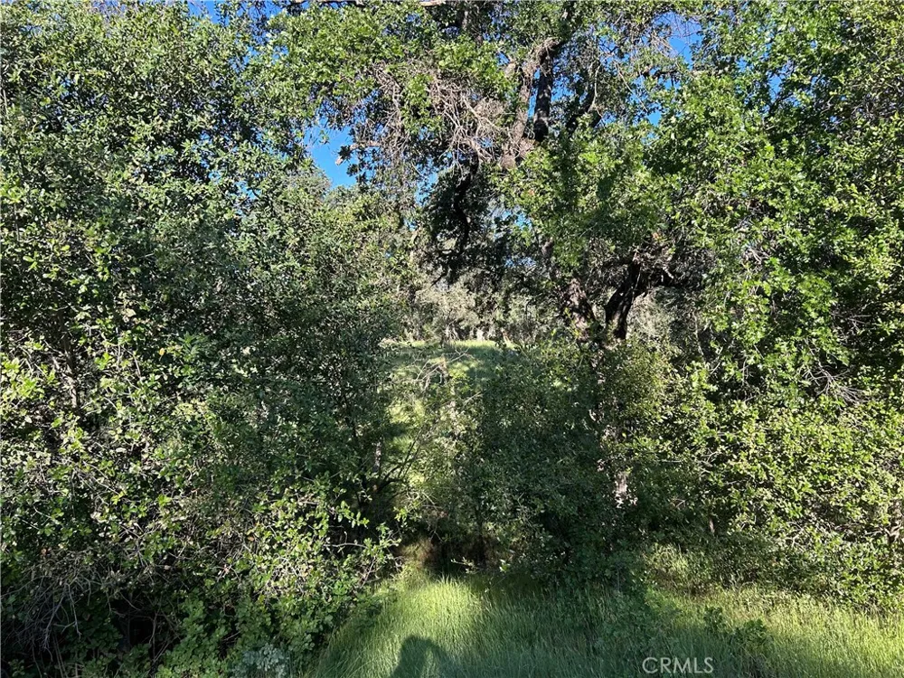 Rolling Oaks Bangor, CA 95901