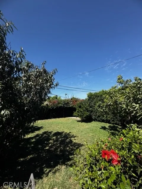 1115 E 105th Los Angeles, CA 90002