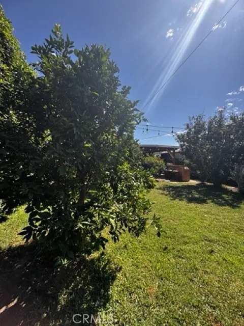 1115 E 105th Los Angeles, CA 90002