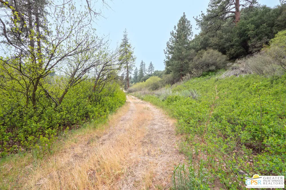 69 Seven Oaks Trail Angelus Oaks, CA 92305