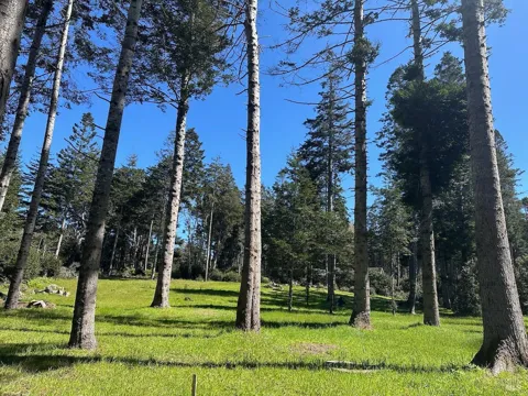26555 Highway 1