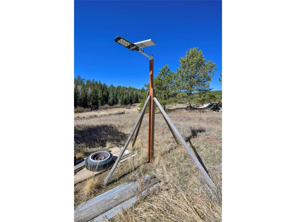 169 Saddleback Creek Drive Florissant, CO 80816