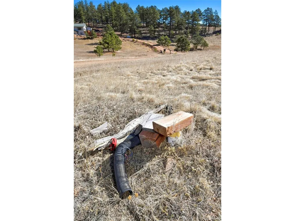 169 Saddleback Creek Drive Florissant, CO 80816