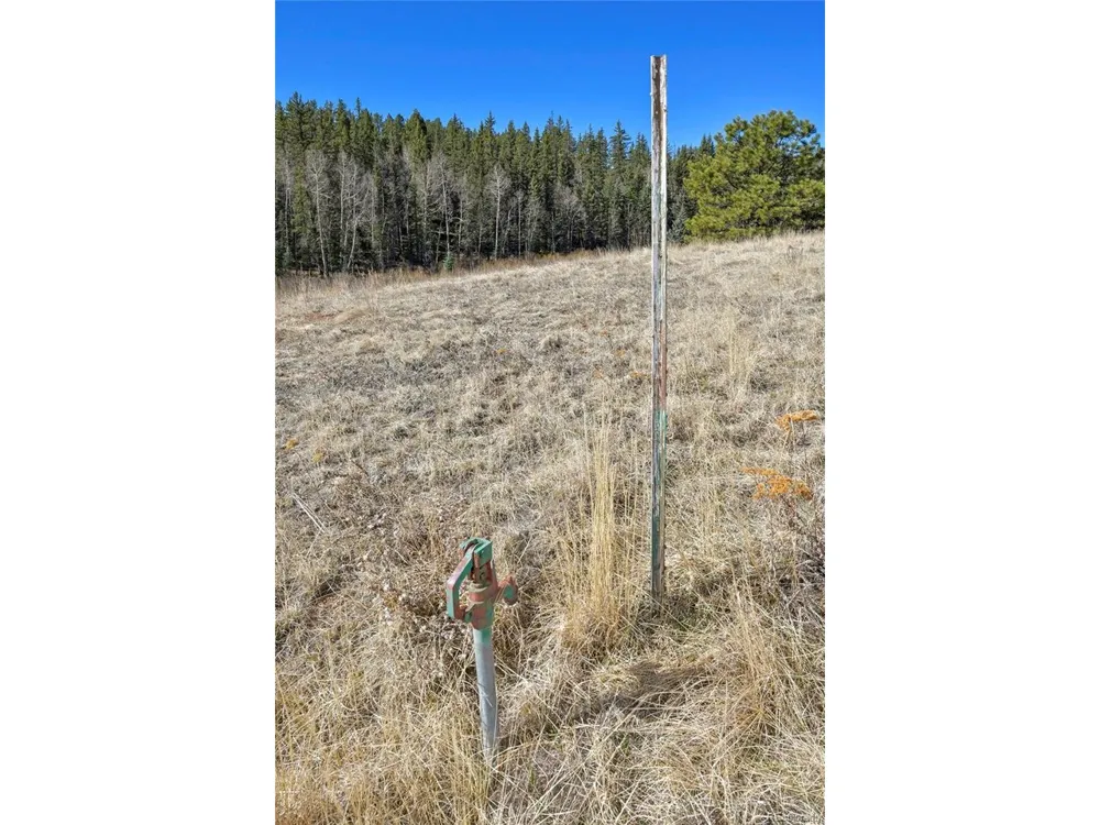 169 Saddleback Creek Drive Florissant, CO 80816