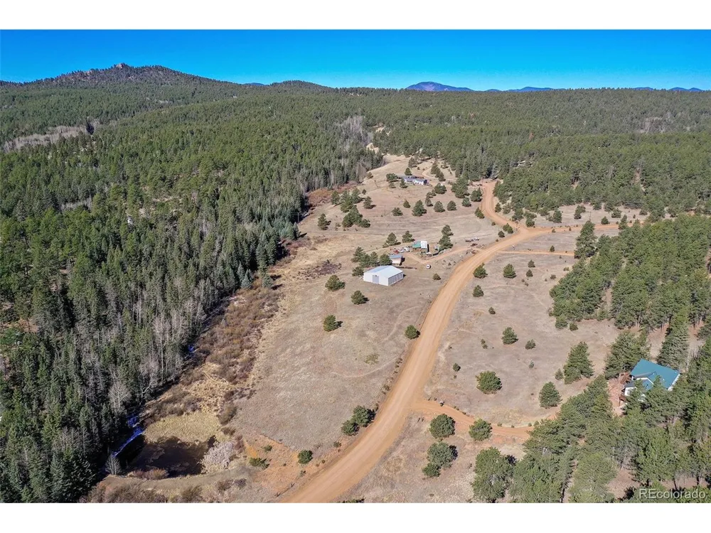 169 Saddleback Creek Drive Florissant, CO 80816