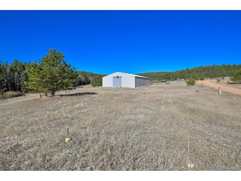 169 Saddleback Creek Drive Florissant, CO 80816