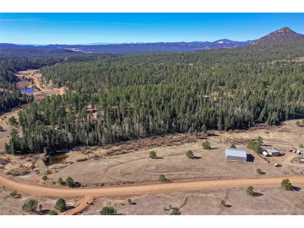 169 Saddleback Creek Drive Florissant, CO 80816