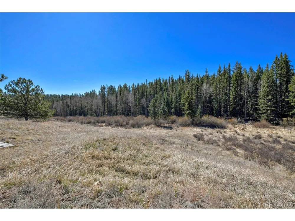 169 Saddleback Creek Drive Florissant, CO 80816