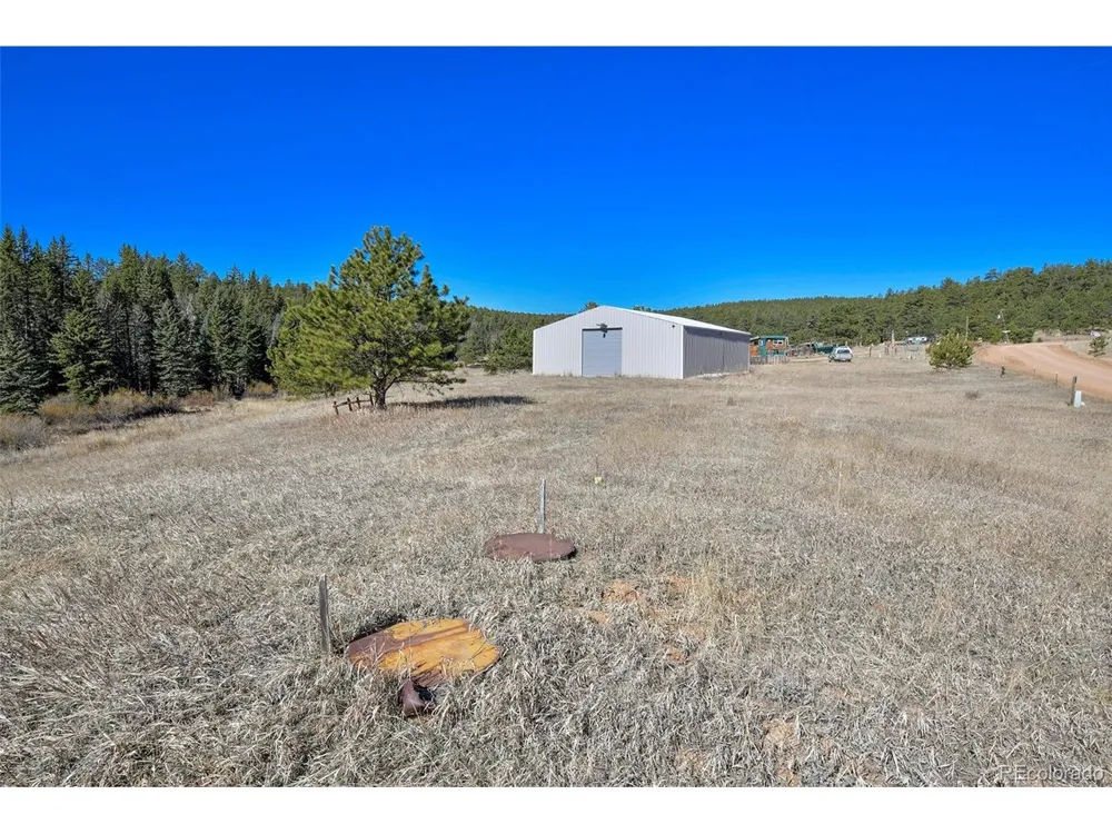 169 Saddleback Creek Drive Florissant, CO 80816