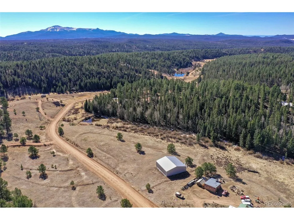 169 Saddleback Creek Drive Florissant, CO 80816