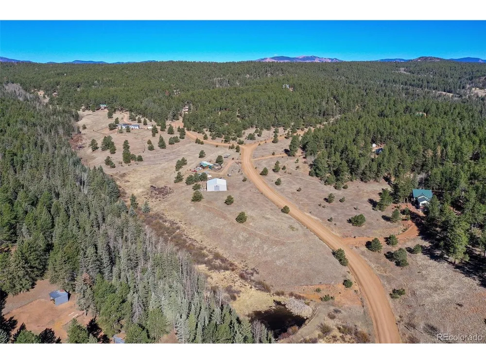 169 Saddleback Creek Drive Florissant, CO 80816