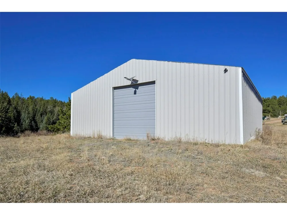 169 Saddleback Creek Drive Florissant, CO 80816