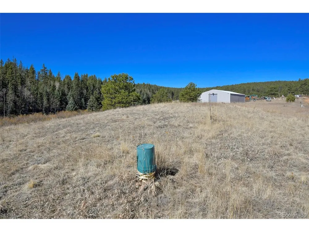 169 Saddleback Creek Drive Florissant, CO 80816