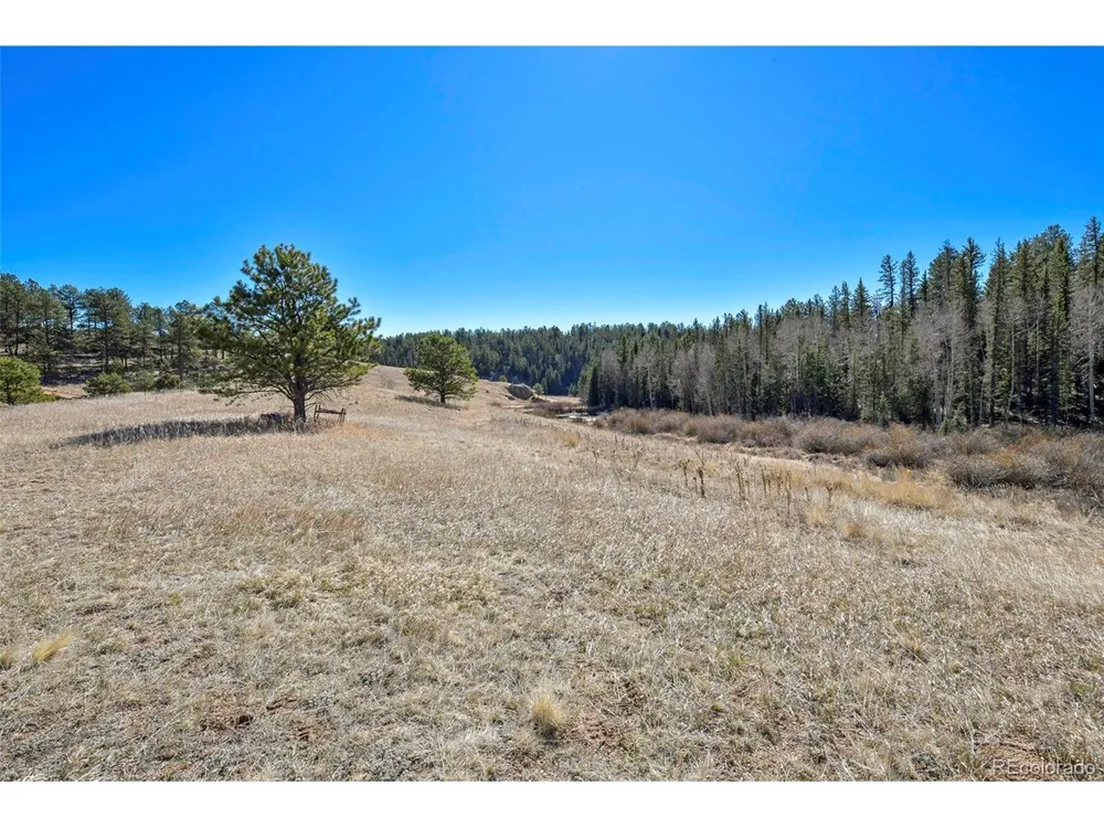 169 Saddleback Creek Drive Florissant, CO 80816