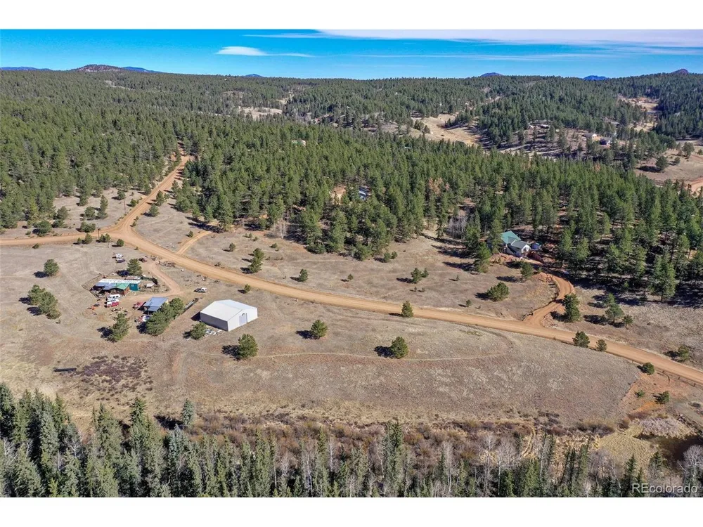169 Saddleback Creek Drive Florissant, CO 80816