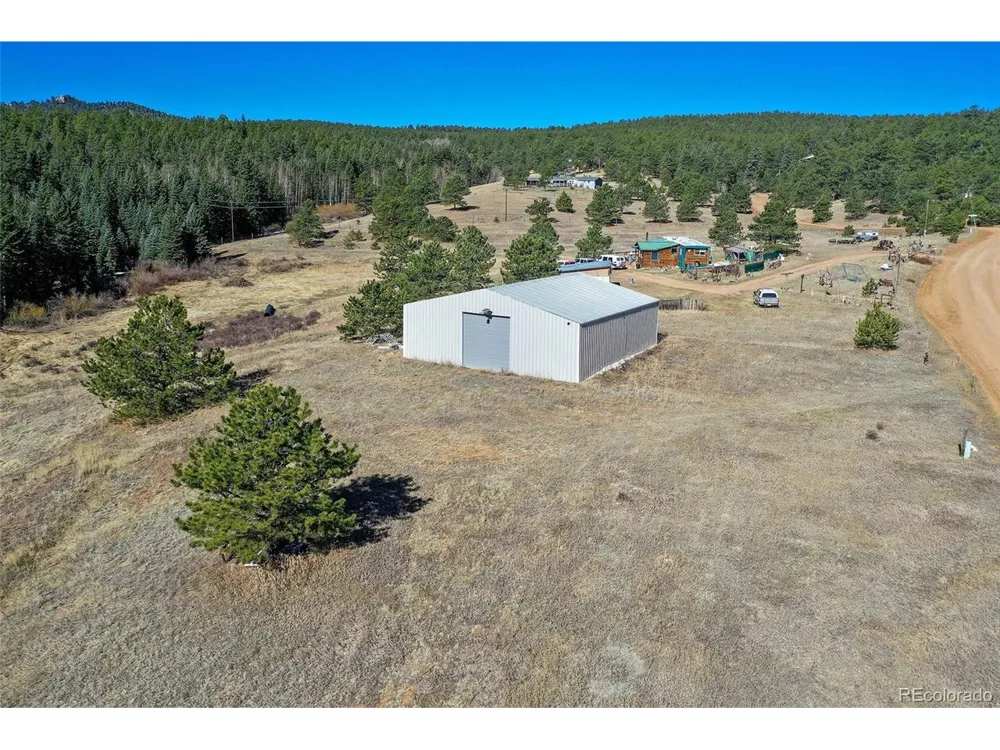 169 Saddleback Creek Drive Florissant, CO 80816