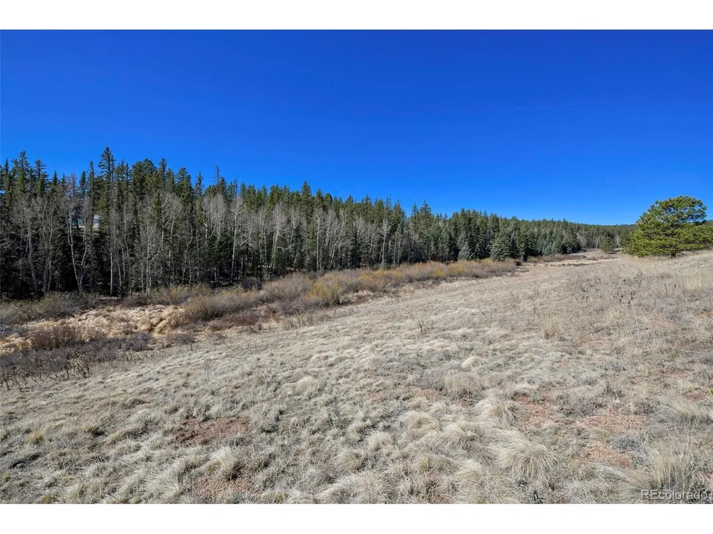 169 Saddleback Creek Drive Florissant, CO 80816