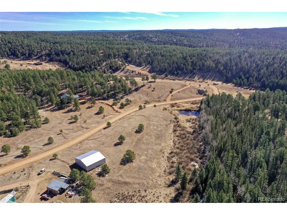 169 Saddleback Creek Drive Florissant, CO 80816