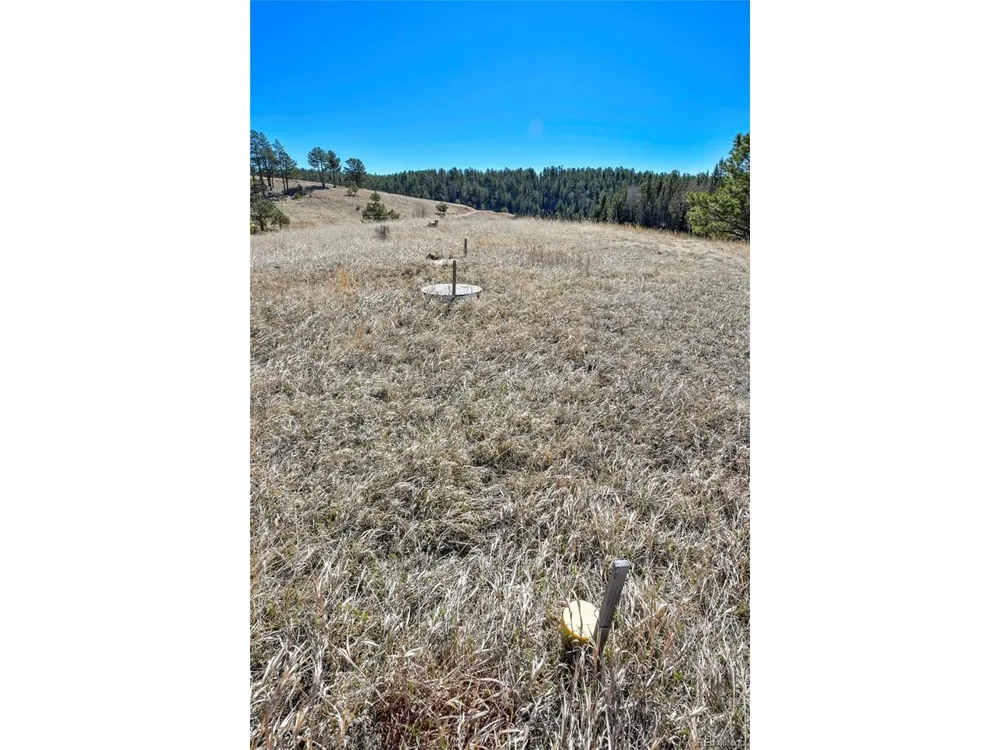 169 Saddleback Creek Drive Florissant, CO 80816