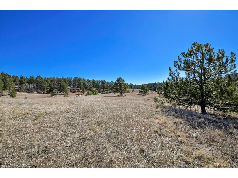 169 Saddleback Creek Drive Florissant, CO 80816