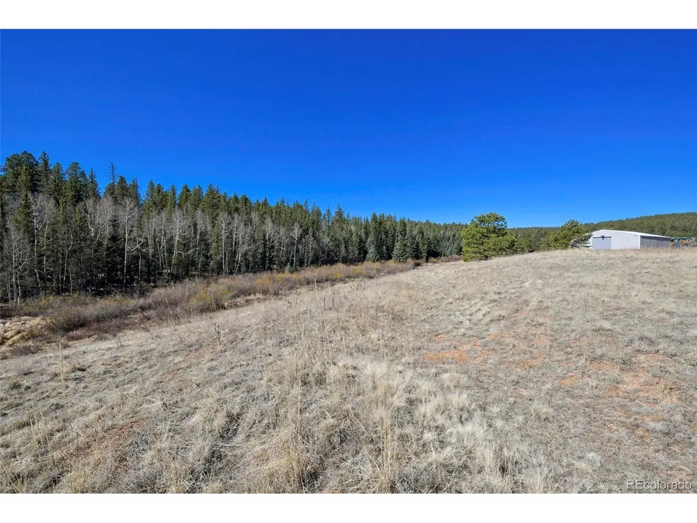 169 Saddleback Creek Drive Florissant, CO 80816