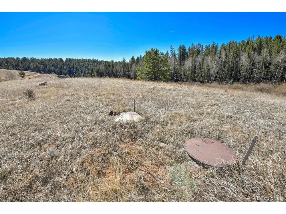 169 Saddleback Creek Drive Florissant, CO 80816