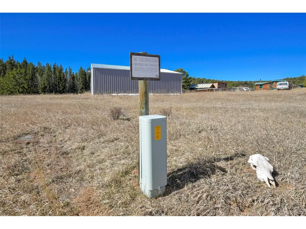 169 Saddleback Creek Drive Florissant, CO 80816