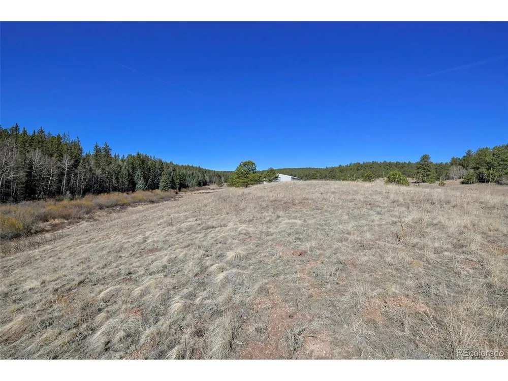 169 Saddleback Creek Drive Florissant, CO 80816
