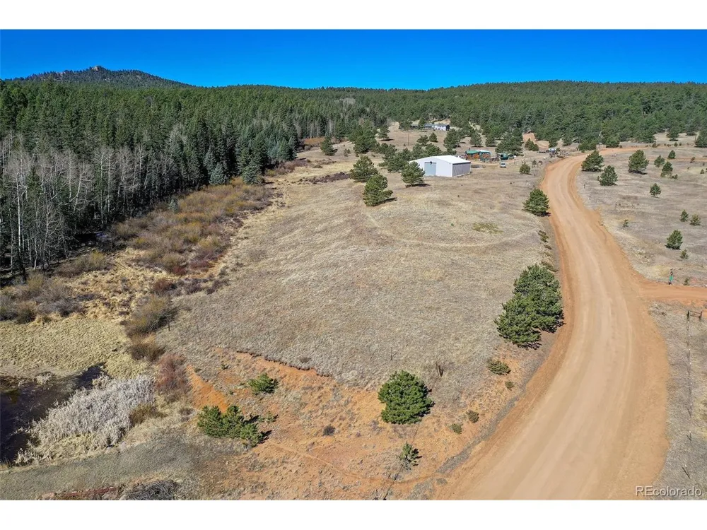 169 Saddleback Creek Drive Florissant, CO 80816